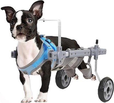 Huisdieren Rolstoel - Mobiliteitskar Hond - Hulp bij Lopen - Verstelbaar Ontwerp - Maat M - Zilverkleurig