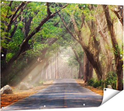 Gards Tuinposter Weg Omringd met Bomen - 120x90 cm - Tuindoek - Tuindecoratie - Wanddecoratie buiten - Tuinschilderij