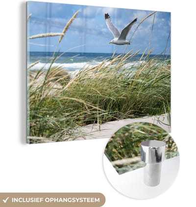 MuchoWow® Glasschilderij 160x120 cm - Schilderij acrylglas - Strand - Vogel - Planten - Foto op glas - Muurdecoratie woonkamer - Wanddecoratie slaapkamer - Schilderijen