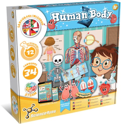 Model van het menselijk lichaam - Science4you Human Body – Educatief Wetenschapspakket voor Kinderen – Menselijk Lichaam Experimenteerset – STEM/STEAM Speelgoed – Vanaf 4 Jaar