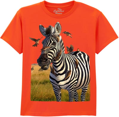 KIDS Jailbird - Zebra The Coloured House KIDS T-shirt XL