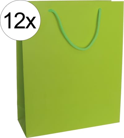 12st. stevige draagtassen papier (26x32x10)cm zak cadeautasje gift bag verpakking gedraaid koord greep