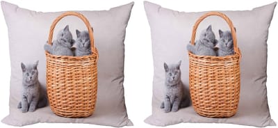 ABAKUHAUS Sierkussenhoes met kittenmotief, 2 stuks, moderne accenten, dubbelzijdige digitale print, 60x60 cm, grijs/lichtbruin stof