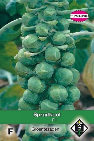Van Hemert - Spruitkool Igor F1