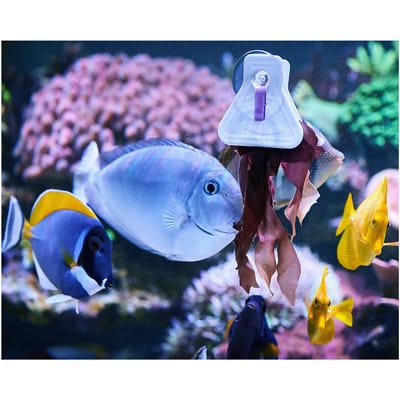 Algenpincet à la carte Aquarium Systems