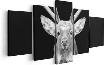 Artaza Canvas Schilderij Vijfluik Hertenkop - Zwart Wit - 100x50 - Foto Op Canvas - Canvas Print