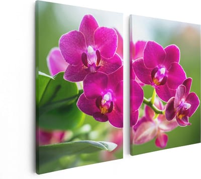 Artaza Canvas Schilderij Tweeluik Roze Orchidee Bloemen - 80x60 cm - Wanddecoratie Woonkamer - Schilderijen - Muurdecoratie