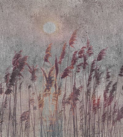 Fotobehang - Reed Abstract 225x250cm - Vliesbehang