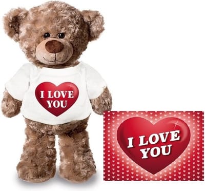 Knuffel teddybeer - met kaart A5 - i love you - 24 cm - pluche - met shirt