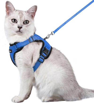 Kattenharnas met riem, zacht harnas voor katten, borstharnas, kattenharnas, onbreekbaar, verstelbaar, kattenvest, blauw, M