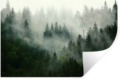 Muurstickers - Sticker Folie - Bos - Mist - Bomen - Natuur - 30x20 cm - Plakfolie - Muurstickers Kinderkamer - Zelfklevend Behang - Zelfklevend behangpapier - Stickerfolie