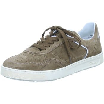 Lage Sneakers Sioux -