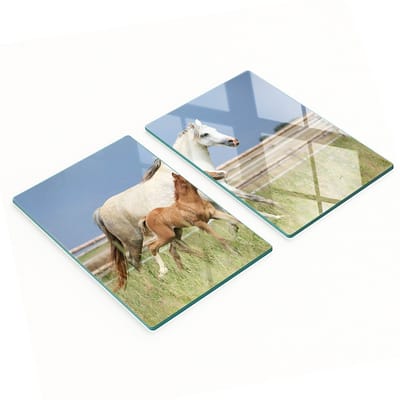 Keukenplanken van gehard glas met afbeelding van een merrie met veulen, 2x40x52 cm
