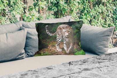 Buitenkussens - Tuin - Wilde dieren - Luipaard - Jungle - Natuur - 50x30 cm