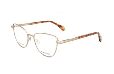 Rag & Bone RNB3037 Matte light gold 53/17/140 WOMAN Brilmonturen