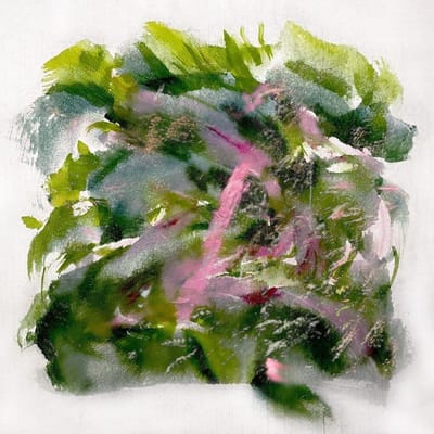 Forest Scenes - Mizu