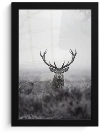 Poster in lijst - Fotolijst 20x30 cm - Posters - Hert - Mistig - Zwart - Wit - Posterlijst zwart - Decoratie - Wanddecoratie woonkamer - Muurdecoratie slaapkamer