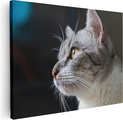 Artaza Canvas Schilderij Dierenkop Kat - 40x30 cm - Klein - Muurdecoratie Portret - Wanddecoratie Dieren - Kamer Accessoires