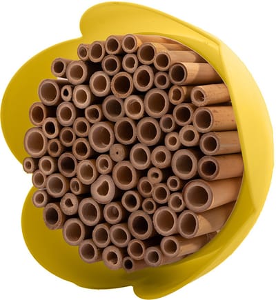 Point-Virgule - Insectenhotel - Bijenhotel - Gele bloem - 20cm