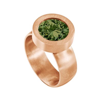Quiges RVS Schroefsysteem Ring Rosegoudkleurig Mat 16mm met Verwisselbare 12mm Mini Munt - SLSRS52016