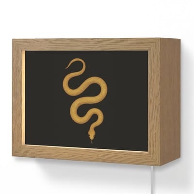 Wandlamp 20x15 cm - Oplaadbaar - Slang - Minimalistisch - Goud - Wandlampen binnen woonkamer - Slaapkamer lamp met kabel - Decoratieve nachtlamp - Vloerlamp snoer