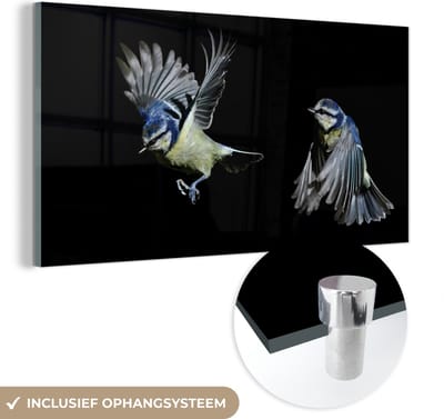 MuchoWow® Glasschilderij 40x20 cm - Schilderij acrylglas - Vogel - Veren - Portret - Foto op glas - Schilderijen