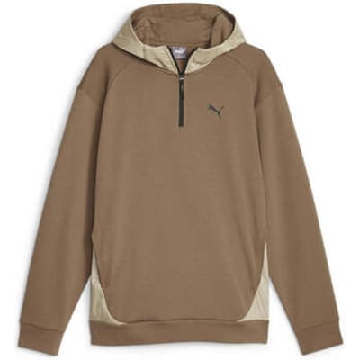Puma Rad/cal Dk Hoodie Bruin S Man