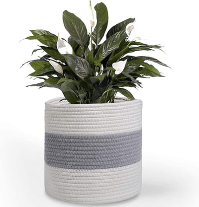 Woven Flower Pot voor Binnen, Geweven Plantenmand van Katoen, Decoratieve Opbergmand voor Speelgoed en Kleding, Diameter 20 cm, Ideaal voor Groene Planten en Interieurstyling