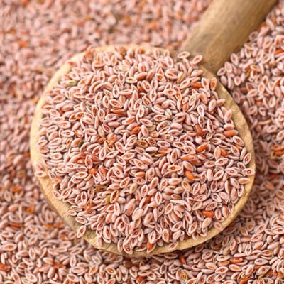 AniForte Indiase Psylliumzaad Paard - 3 kg