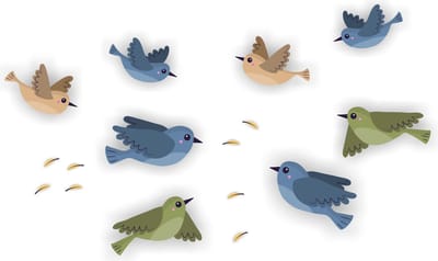 Jerma - Vogel Raamsticker - 9 st. - Stickers - 10 x 15 cm -Zelfklevend - Weerbestendig - Vinyl folie