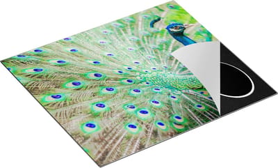 Chefcare Inductie Beschermer Pauw met Kleurrijke Veren - 60x50 cm - Afdekplaat Inductie - Kookplaat Beschermer - Inductie Mat