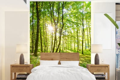 Behang - Fotobehang Natuur - Bomen - Bos - Groen - Zonlicht - Breedte 165 cm x hoogte 220 cm
