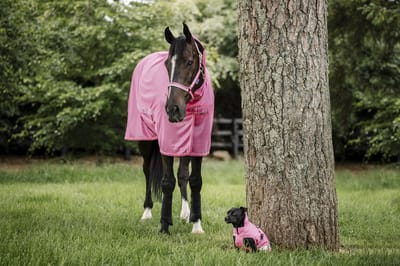 Bucas Vliegendeken Bucas Freedom Ss26 Roze - 140/191