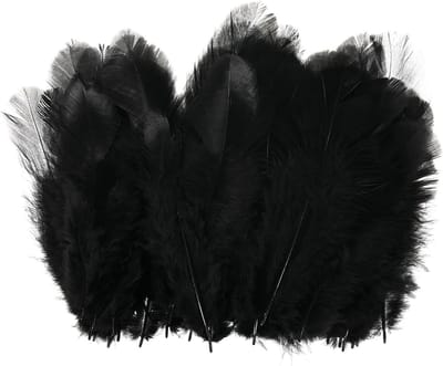 600 Pcs Zwarte Zadel Hackle Cock Veertjes, 4-8cm Bulk, Natuurlijke Fluffy Veren voor Ambachten, Bruiloften en Droomvangers