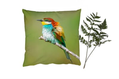 Sierkussens - Kussentjes Woonkamer - 40x40 cm - Vogel - Dieren - Bijeneter