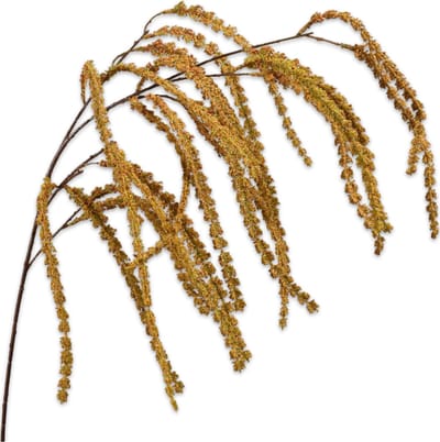 Silk-ka Kunstbloem-Zijde Amaranthus Hang Geel-Oranje 114 cm