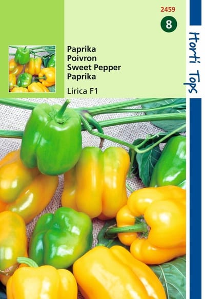 2 stuks Hortitops Paprika Pasodoble F1 Geel