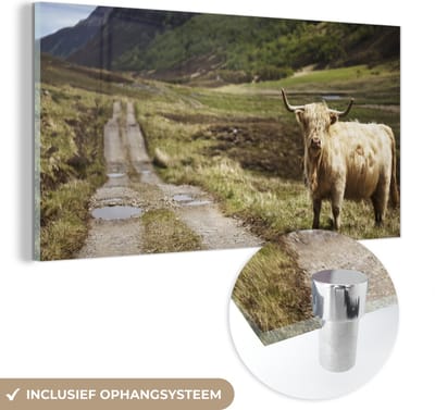 MuchoWow® Glasschilderij 40x20 cm - Schilderij acrylglas - Schotse Hooglander - Pad - Bos - Foto op glas - Schilderijen