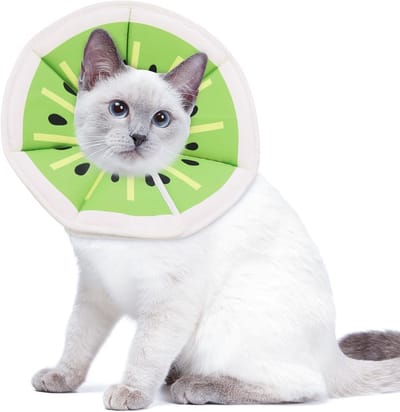 Zachte en Verstelbare Kattenhalsband voor Wondgenezing bij Kleine Honden en Katten, Beschermende Halsband voor Herstel