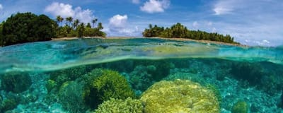 Fotobehang - Coral Reef 375x150cm - Vliesbehang