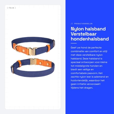 Dailygoods- Halsband Verstelbaar - Nylon/Huisdierhalsband - Metalen Veiligheidsgesp - Geschikt voor Kleine/Middelgrote/Grote Honden - Sneldrogend en Ademend - Zacht en Huidvriendelijk - Hondenhalsband