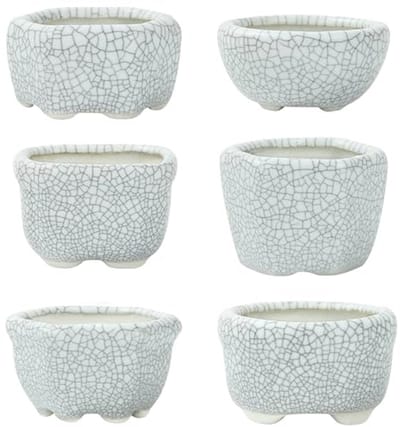 Mini Geglazuurde Potten 1,8 inch (4,5 cm) - Set van 6 voor Cactussen en Vetplanten