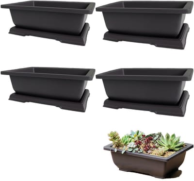Dailygoods- Bonsai Potten met Tray - 4 Stuks - Kunststof - Afvoergat - Duurzaam - Voor Vetplanten/Cactussen - Bloempotten