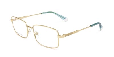 Polaroid PLD D470 Matte gold 54/18/145 MAN Brilmonturen