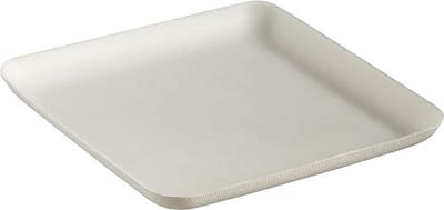 Bagastro Suikerriet Bord Vierkant 160 x 160mm - 40 stuks