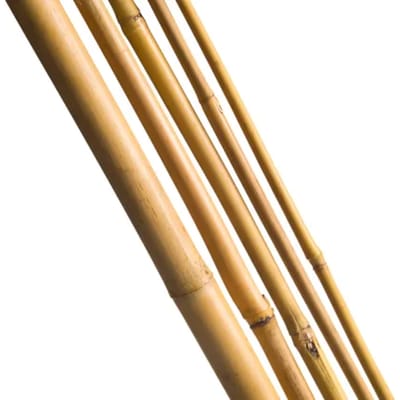 Nature Bamboestok Naturel H210cmxø16-18mm 3 Stuks