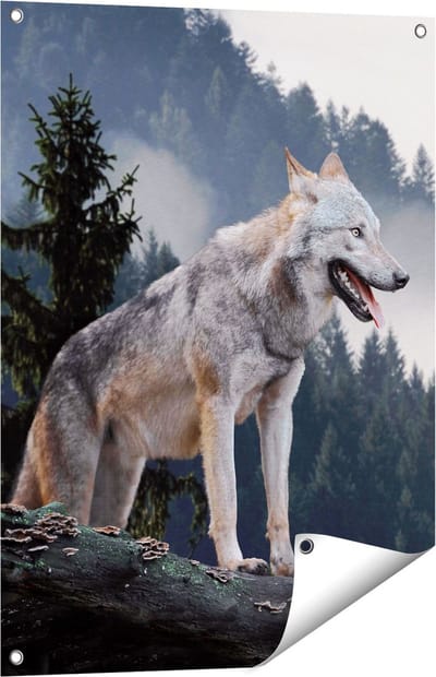 Gards Tuinposter Grijze Wolf in de Bossen - 60x80 cm - Tuindoek - Tuindecoratie - Wanddecoratie buiten - Tuinschilderij