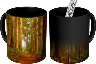 Magische Mok - Foto op Warmte Mokken - Koffiemok - Bos - Natuur - Bomen - Landschap - Bladeren - Magic Mok - Beker - 350 ML - Theemok