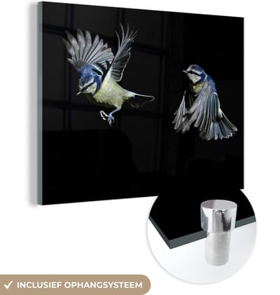 MuchoWow® Glasschilderij 160x120 cm - Schilderij acrylglas - Vogels - Veren - Zwart - Foto op glas - Schilderijen