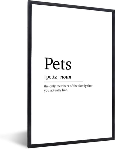 Fotolijst incl. Poster - Quotes - Pets - Huisdieren definitie - Spreuken - Woordenboek - 40x60 cm - Posterlijst